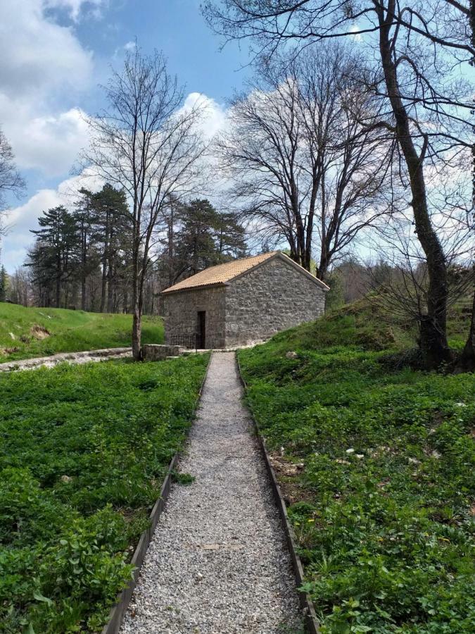 Apartman Donji Kraj Apartamento Cetinje Exterior foto